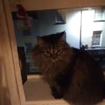 Profile Picture of Marcia Barrow (@marcia.barrow.372) on Instagram