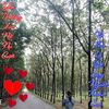 Profile Picture of Xuan Vu (@xuanvu03) on Tiktok