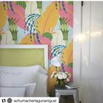 Profile Picture of Schumacher Palm Beach (@schumacher_palmbeach_laurie) on Instagram