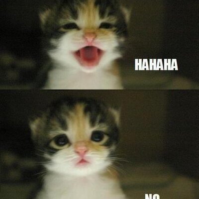 Profile Picture of Gabriel Rodriguez (@GabyCintron1) on Twitter