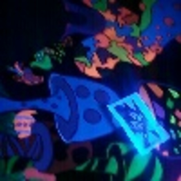 Profile Picture of Suzanne Manbeck (@zoneyri) on Poshmark