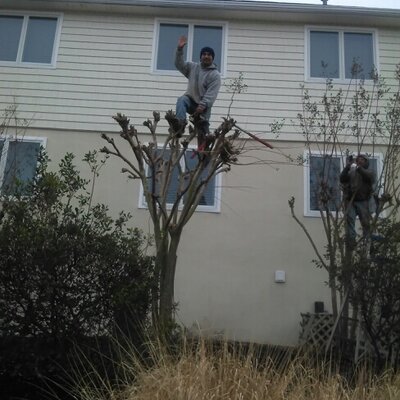 Profile Picture of Faustoperez (@FaustoPerez98) on Twitter