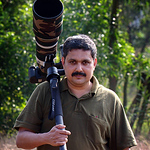 Profile Picture of drkrishi (@drkrishi) on Flickr