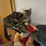 Profile Picture of Jeremy Kampf (@jeremy.kampf.754) on Facebook