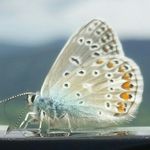 Profile Picture of Andreas Kolbeck (@fritzkceblok) on Instagram