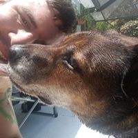 Profile Picture of Alex Pino (@alex-pino-7) on Quora