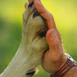 Profile Picture of Kenji  Arima (@arimakenji) on Instagram