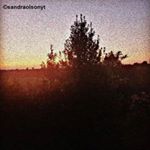 Profile Picture of sandraolsonyt (@sandraolsonyt) on Instagram