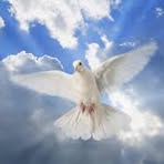 Russell Wooster - Facebook Profile Picture of Russell Wooster (@gary.apsin) on Facebook