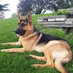 Profile Picture of Janet Graff (@Janet-Graff) on Facebook