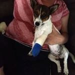 Profile Picture of Lynette Van Haaster (@lynvanhaaster59) on Instagram