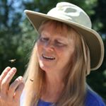 Profile Picture of Jacqueline Freeman (@jacquelinefreemanbees) on Instagram