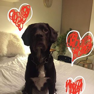 Jeanette Ann Ingram (Low Inglis) - Facebook Profile Picture of Jeanette Ann Ingram (Low Inglis) (@jeanette.inglis.1) on Facebook