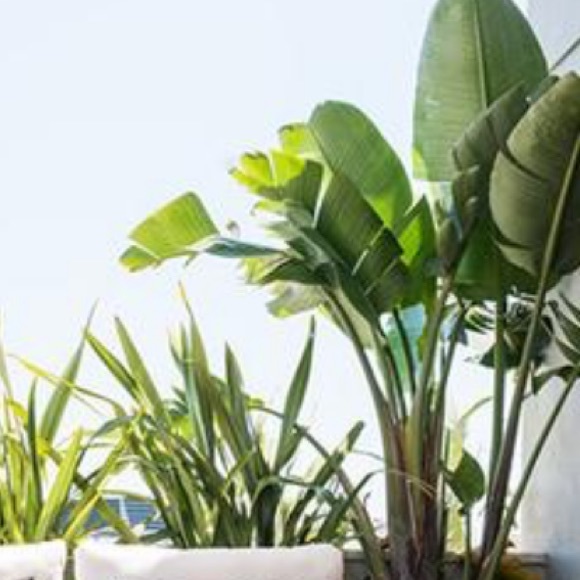 Profile Picture of Stacie Wuebben (@stac3656) on Poshmark