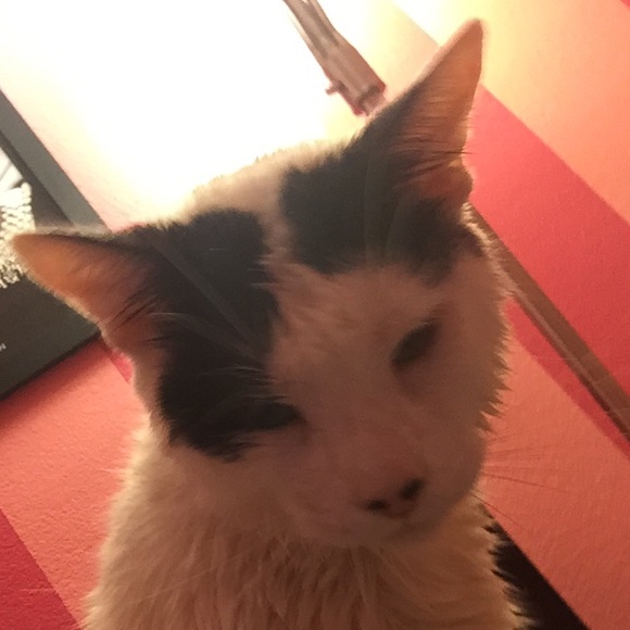 Profile Picture of Matt Chupka (@chupka421) on Poshmark