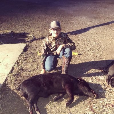 Profile Picture of Andrew Krall (@krall_andrew) on Twitter