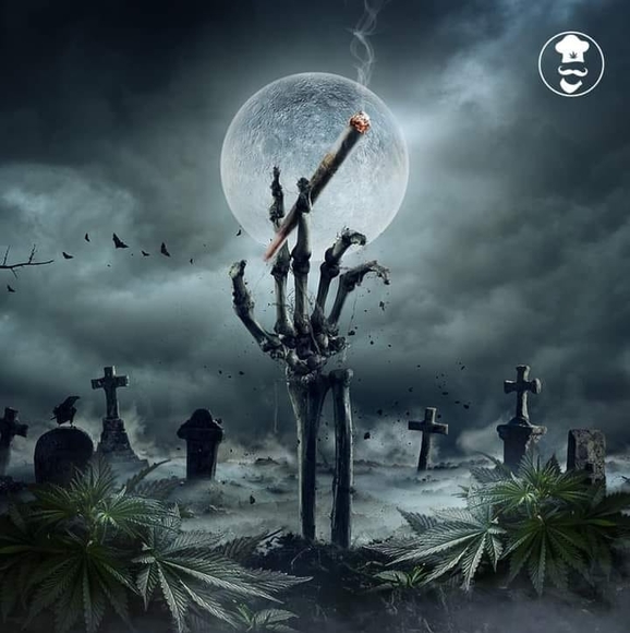 Profile Picture of Joey Goodson (@joeygoodson1) on Poshmark