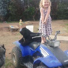 Profile Picture of James Cheatwood677 (@@jamescheatwood0) on Tiktok