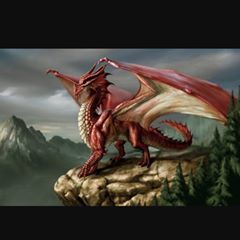 Profile Picture of Michael Fording (@michaelfording) on Tiktok