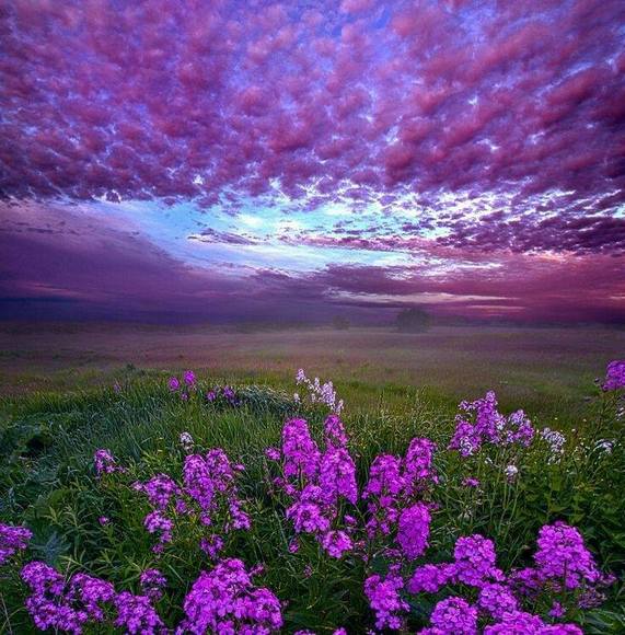 Profile Picture of Debby Watson (@sipesdebby) on Poshmark