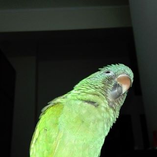 Igor Couto - Facebook Profile Picture of Igor Couto (@Igor-Couto) on Facebook