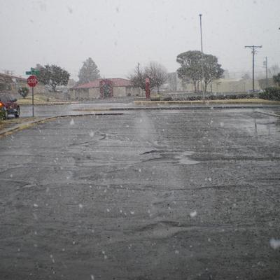 Profile Picture of Samer Haddad (@samerhaddad44) on Twitter