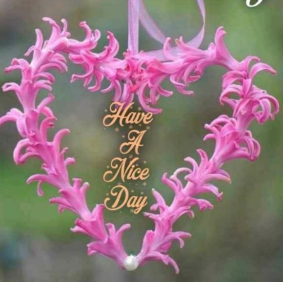 Profile Picture of Suchithra Suchithra (@sds772653) on Poshmark