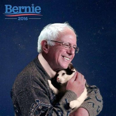 Profile Picture of Daniel Pisano (@DantheDoughMan) on Twitter