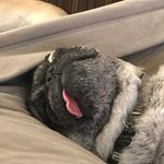 Profile Picture of Devin James Bosler (@djambosler) on Instagram