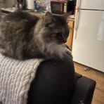 Profile Picture of Karen Genier (@karen.genier.2025) on Facebook