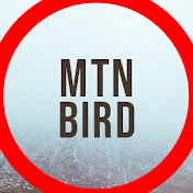 Profile Picture of Jamin Davis (@MTN_Bird_Media) on Youtube