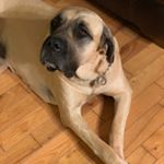 Profile Picture of Kenneth Riegel (@riegelkenneth) on Instagram