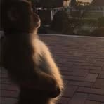 Mora Loghan - Facebook Profile Picture of Mora Loghan (@mora.loghan) on Facebook