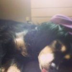 Profile Picture of Bobby Joe McAuliffe (@bobby_mcauliffe) on Instagram