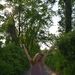 Profile Picture of mackie leonard (@mackiebrrtt) on Pinterest