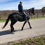 Profile Picture of Jesse Bretton (@jessebretton) on Instagram