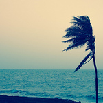 Cristian Rivas - Flickr Profile Picture of Cristian Rivas (@cristian rivas galván) on Flickr