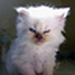 Profile Picture of Usernamedeficiency (@usernamedeficiency) on Flickr