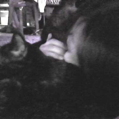 Profile Picture of Lea Grebe (@LeaGrebe) on Twitter