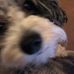 Profile Picture of Sherri Smith (@sherri.smith.338658) on Facebook