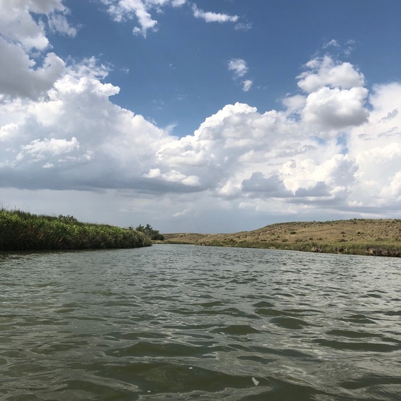 Profile Picture of Jacqueline Mitchek (@mamaluxe) on Poshmark