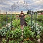 Profile Picture of Casey Swanson-Organic Gardener (@swanson_gardens) on Instagram