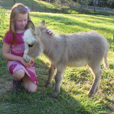 Profile Picture of Hannah Goldstein (@HannahGoldstein) on Twitter