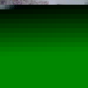 Profile Picture of Rene Cantu (@chris_15c) on Myspace