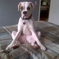 Profile Picture of Lisa Cain-rafuse (@lisa-cain-rafuse) on Quora