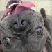 Profile Picture of Richard Engels (@EngelsRichard) on Pinterest