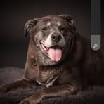 Profile Picture of Lisa Krause (@Lisa-Krause) on Facebook