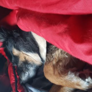 Profile Picture of Jamie Fuson (@Jamie-Fuson) on Facebook