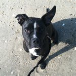 sheeber - Instagram Profile Picture of sheeber (@sheeber) on Instagram