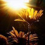 David castellano cortinas - Instagram Profile Picture of David castellano cortinas (@davidcastellanoco) on Instagram